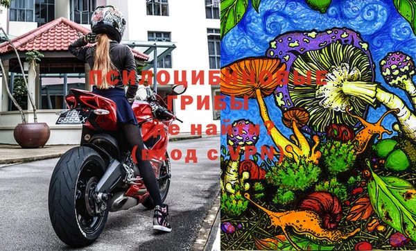 герыч Верхний Тагил