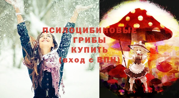 герыч Верхний Тагил