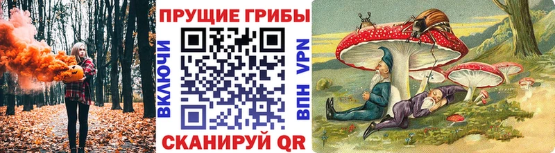 нарко площадка какой сайт  Волжский  Галлюциногенные грибы прущие грибы  наркотики 